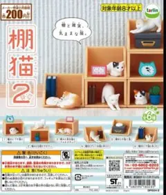 棚猫2 棚Bと子猫と箱 tarlin ガチャ