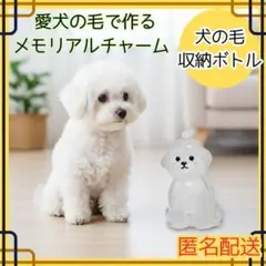 Item thumbnail for item 4b688569-a8f9-4974-a4fc-93ec9a4cff8e