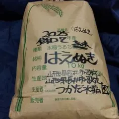 山形県長井市歌丸産 はえぬき 10kg 米 2025年収穫 山形県長井市歌丸産 はえぬき 10kg 米 2025年収穫 - メルカリ