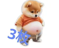 値下げ☆【柴犬ぷっくりシール 3枚セット】立体　ぷにぷに　ボリューミー　おなか