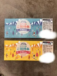 スキージャム勝山 リフト1日ご招待券 中学生・小学生限定 チラシクーポン有り