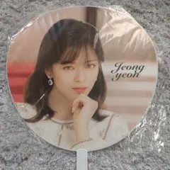 TWICE Jeongyeon ジョンヨン うちわ 2019 #Dreamday