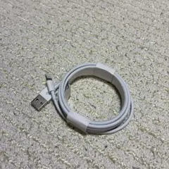 USB Lightning 充電ケーブル