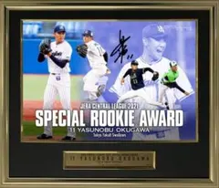 Item thumbnail for item 5cf42569-979e-4b8f-b0d8-d3c155e7a108