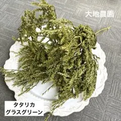 パピコ様 リクエスト 2点 まとめ商品