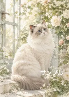 ラグドール 猫 ネコ 水彩画風 - メルカリ