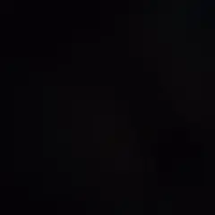 くるん様　専用出品