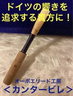 Item thumbnail for item 353247bf-9fe0-47b2-be38-ddea3ab83108