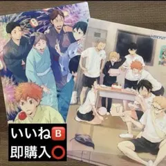 ハイキュー!! クリアファイル 烏野 春夏秋冬