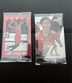 男子バレー　ウエハース　カード　高橋藍　エバデダンラリー