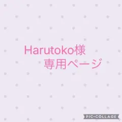 Harutoko様 リクエスト 2点 まとめ商品