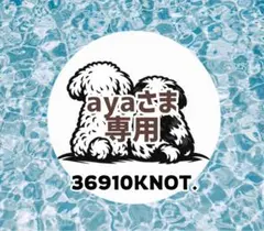 ayaさま専用ページです