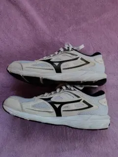 ミズノ スニーカー