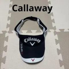 Item thumbnail for item da4bb99e-2e9b-4025-9071-77f5eeb91077