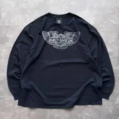 ロンt 長袖カットソー