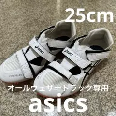 25cm★陸上スパイクCYBERBLADE★オールウェザートラック専用