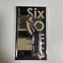 田中樹 アイドル