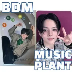 ヨシ タレントカード