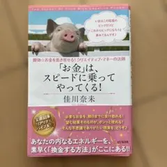 「お金」は、スピードに乗ってやってくる! 即効☆お金を惹き寄せる!クリエイティ…