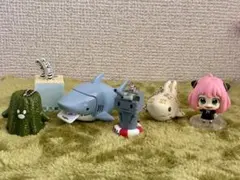 ガチャ　まとめ　サメジャー　チンアナゴ　アーニャ　スパイファミリー　　カヌレイ