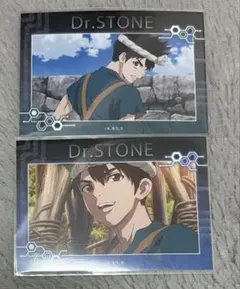 Dr.STONE ミニブロマイド クロム