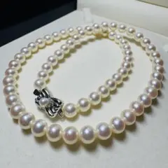 TASAKI アコヤ真珠 ネックレス 7.5 パール 本真珠 リボン テリ強