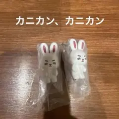 MINITEEN つまんでつなげてますこっと01 エスクプスのサムネイル