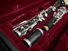 Buffet Crampon】 R13 A管クラリネット ダブルケース付 - メルカリ