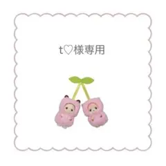 t♡様専用