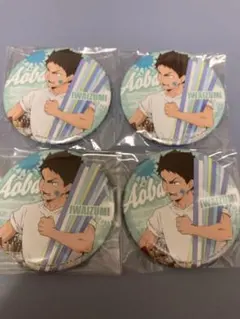 ハイキュー 岩泉一 缶バッジ カラパレ ペイントスーツ