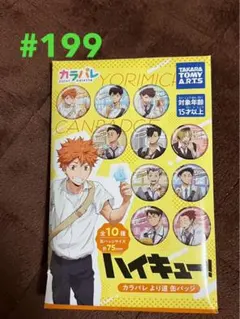 199.ハイキュー!! より道 缶バッジ 全10種類