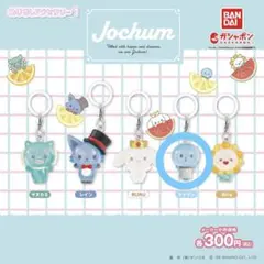 JOCHUM めじるしアクセサリー