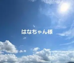 はなちゃん様専用