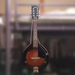 2026年最新】jumbo マンドリンの人気アイテム - メルカリ