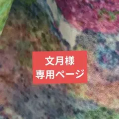 文月様３点おまとめ専用ページ期限8/28中まで
