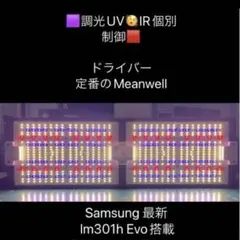 Item thumbnail for item d5d14ccd-b151-4fa7-8b57-057d03684c77