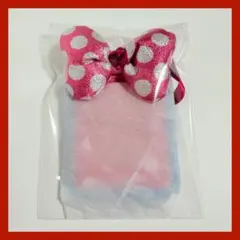 ディズニー　パルパルーザ　ミニーのファンダーランド　カードホルダー　パスケース②