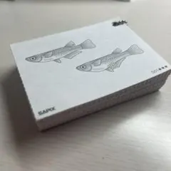 SAPIX 理科　暗記カード