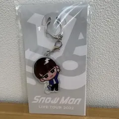 Snow Man 渡辺翔太　すのチルぶら下がりシリーズ　アクキー