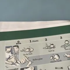 Item thumbnail for item 670424cf-5e07-4445-8c52-8283f274f3c1