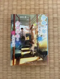 余命一年と言われた僕が、余命半年の君と出会った話