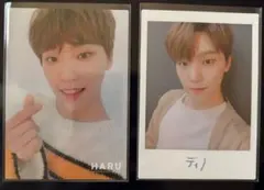 SEVENTEEN HARU ディノ トレカ まとめ売り