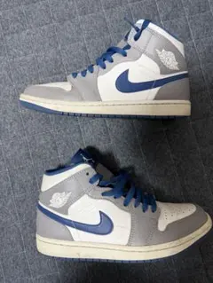 Nike Air Jordan 1 トゥルーブルー