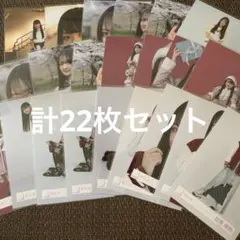 櫻坂46 目黒陽色 生写真 計22枚セット まとめ