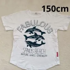 Item thumbnail for item 12513fb1-503d-4d82-8914-f70851a2ec0a