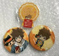 家庭教師ヒットマンREBORN！ ひこくじ 缶バッジ 沢田綱吉&リボーン