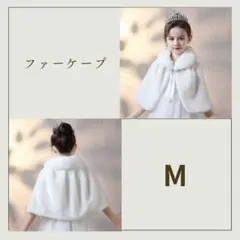 Item thumbnail for item a505a666-b311-43ef-904c-c128cd249e9f