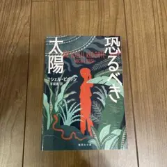 【ミシェルビュッシ】恐るべき太陽