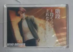 WIND BREAKER アクリルブロック 蘇枋隼飛 DAISO