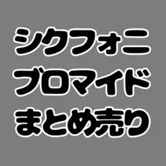 シクフォニ　ブロマイドまとめ売り